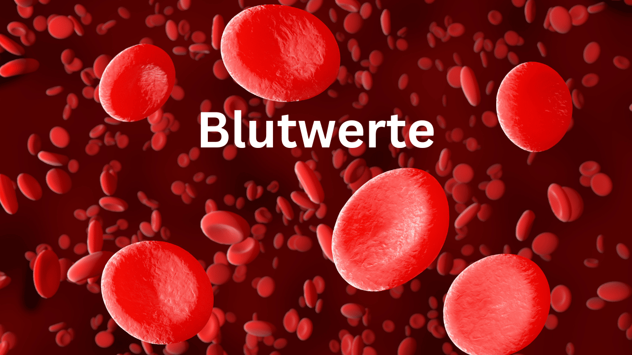 Laboruntersuchung Naturheilpraxis Barbara Henkel