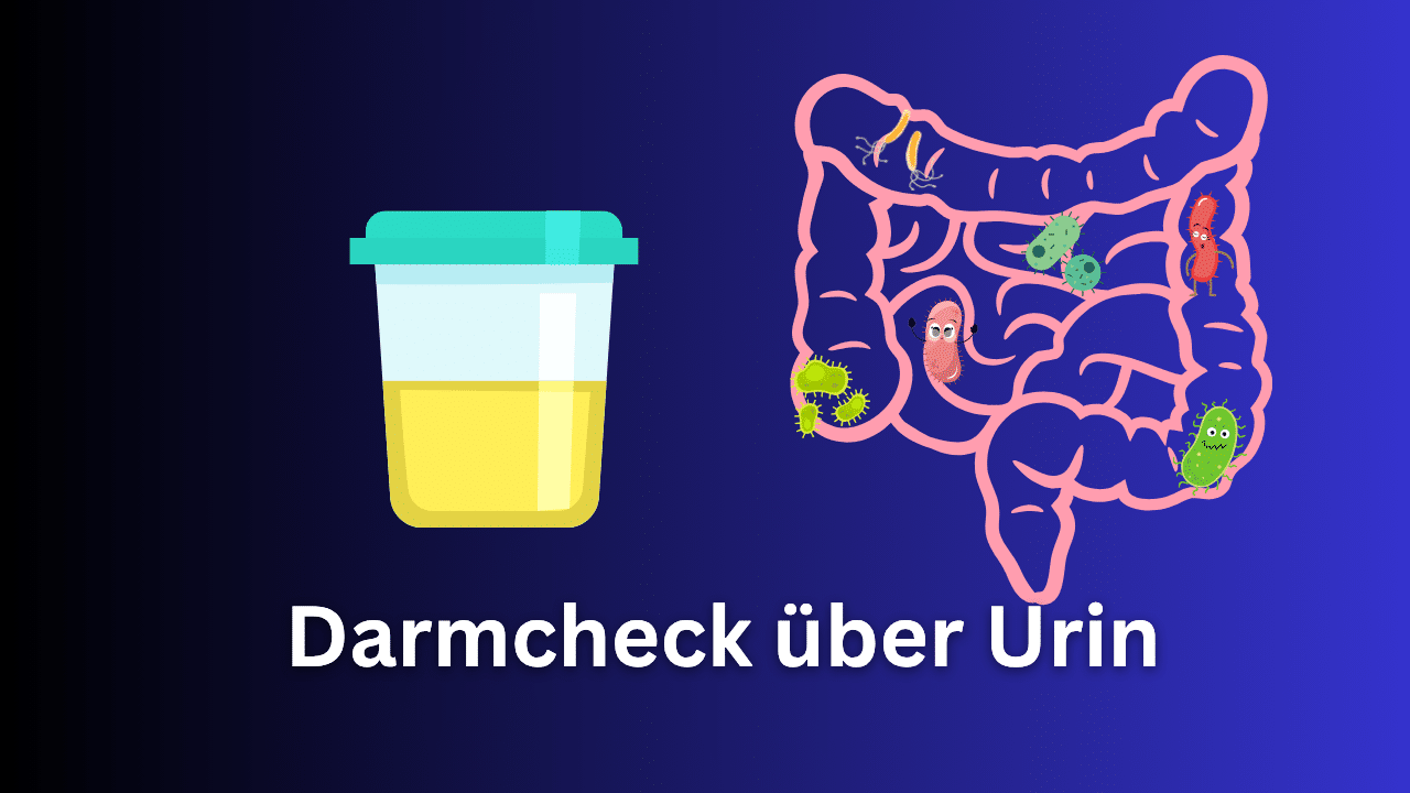Mehr über den Artikel erfahren Organix-Dysbiose-Test: Was Urin über deinen Darm verrät