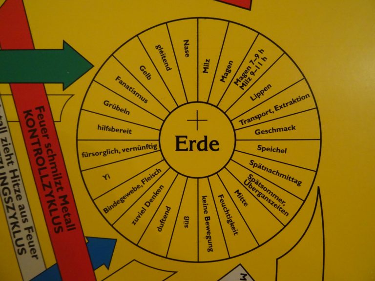 5 Wandlungsphasen: Erdelement