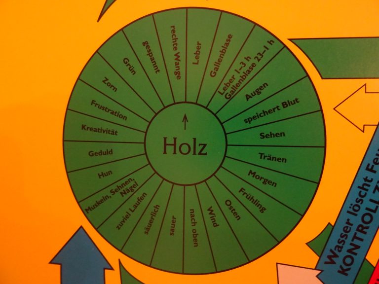 5 Wandlungsphasen: Holzelement